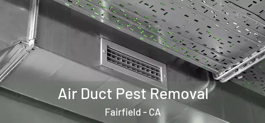 Air Duct Pest Removal Fairfield - CA