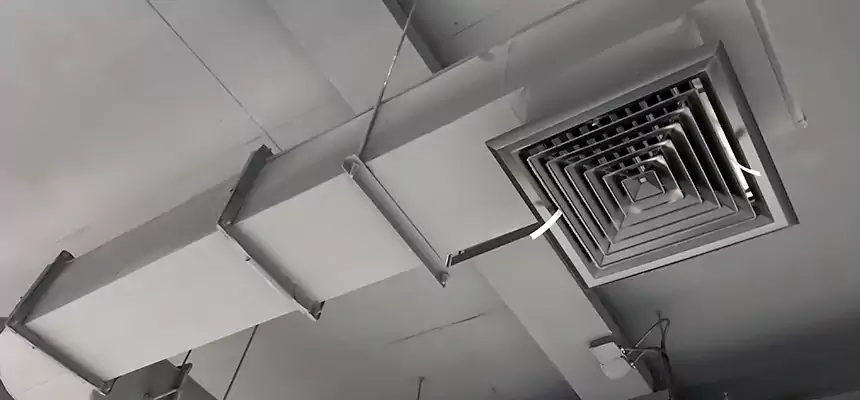 Our Pest Removal From Ducts Services in Fairfield, CA