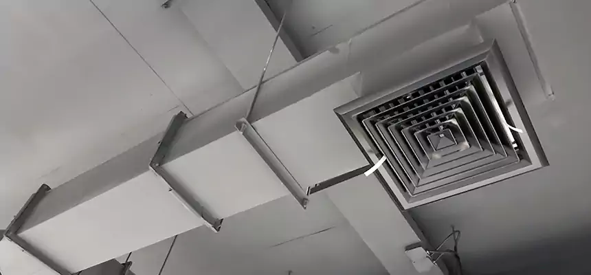 Our Rodent Droppings In Vents Services in Fairfield, CA