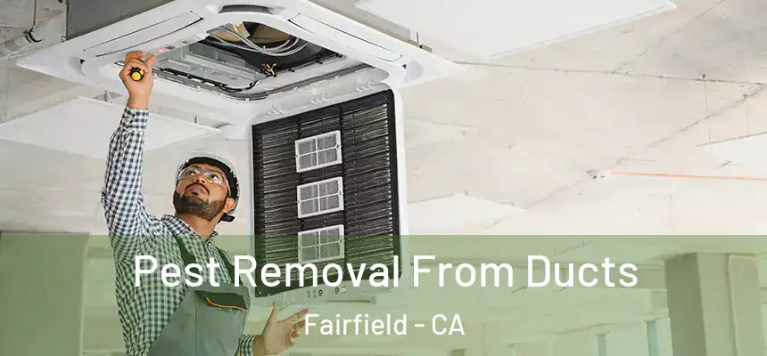  Pest Removal From Ducts Fairfield - CA