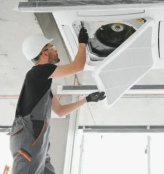 About Air Duct Rodent Removal in Fairfield, CA