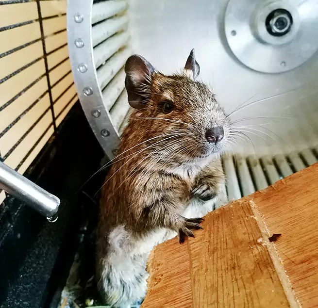 Why Homeowners & Businesses Trust Us Fairfield, CA