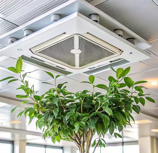 Why Homeowners & Businesses Trust Us in Fairfield, CA